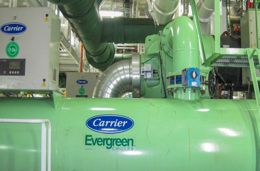 IMG_0725